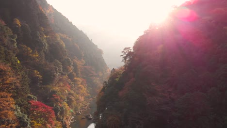 aerial rising drone over hill revealing sunlight flooded valley with fall colors