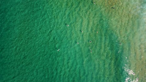 Drone-Aerial-Bird's-eye-pan-shot-of-North-Avoca-Surfers-waiting-on-sandbar-in-Pacific-Ocean-Central-Coast-tourism-4K