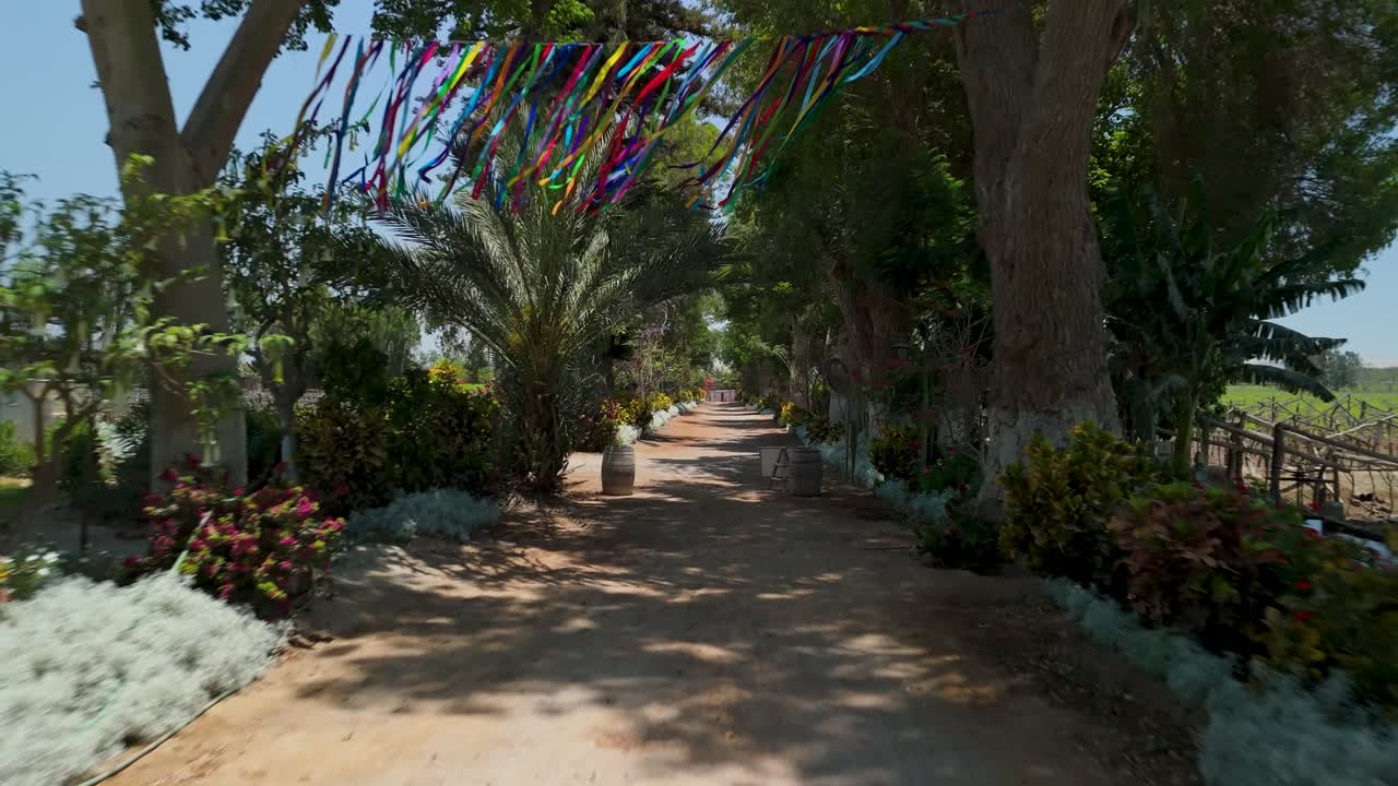 Lush walking path lined with colorful flowers and vibrant greenery at historic Tambo de Tacama vineyard in Ica Peru on a sunny day