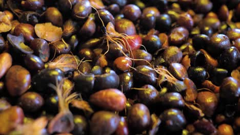 Close-up-of-fresh-palm-kernel-fruit-with-shells-at-factory-warehouse,-Malaysia