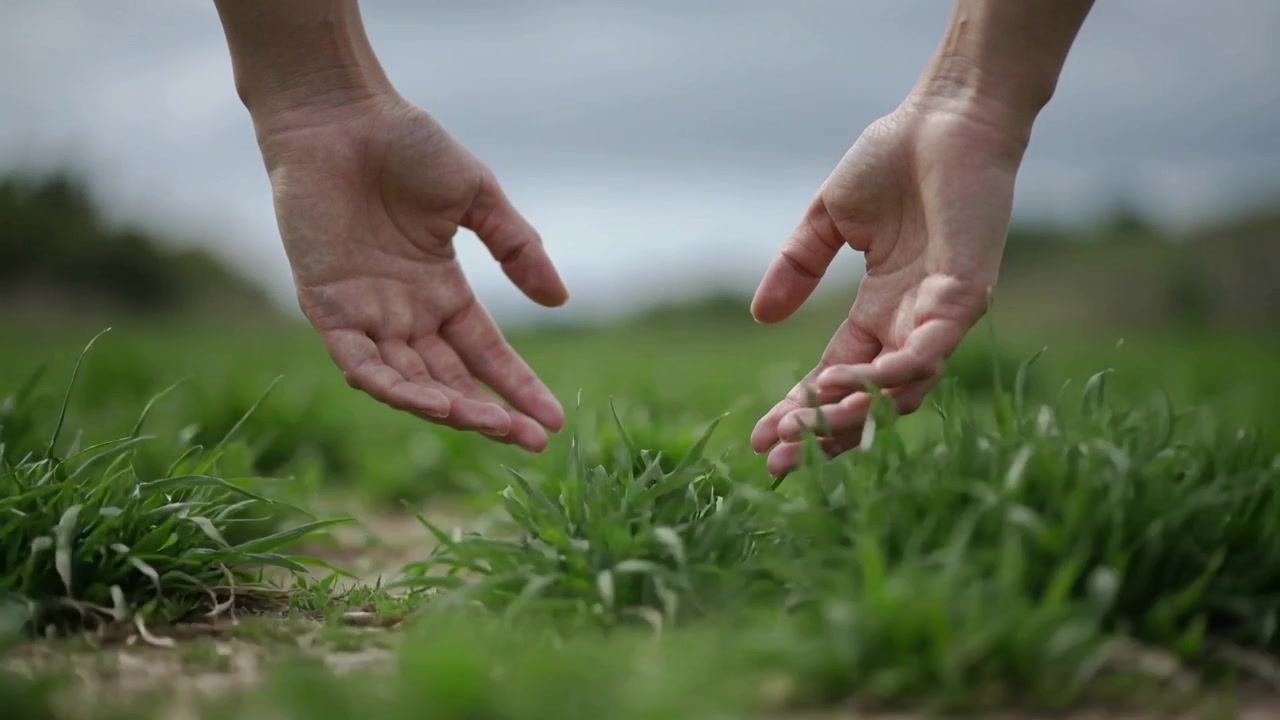 Entering frame, pair of bare hands lowering toward short green grass at open field, revealing ring