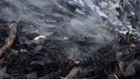 Burned-leaf-pile-that-is-smoldering-and-smoking-with-fragments-of-leaves-and-twigs-visible