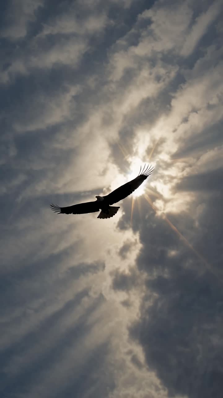 Un video aereo cattura un uccello che si libra nel cielo con raggi di sole che filtrano tra le nuvole.