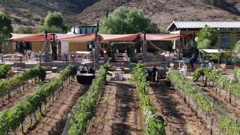 aerial view of a vineyard being setup for a social event