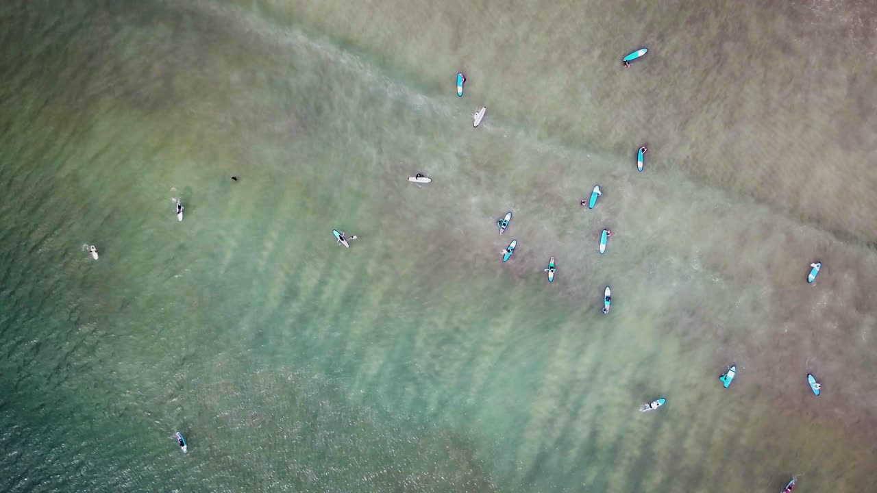 파도를 즐기는 서퍼 들