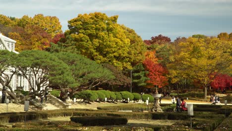 Korean-people-in-masks-walking-in-a-Park-and-sightseeing-Cultural-Heritage-Grand-Greenhouse-of-Changgyeonggung-Palace-Seoul,-South-Korea