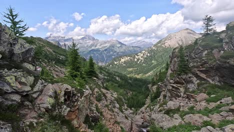 wide alpine valley view with rocky terrain, pine trees, and distant snow-capped peaks in alpe devero nature park, italy