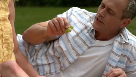 una pareja madura haciendo un picnic juntos