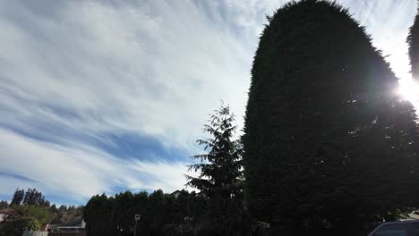 residential street scene on a cloudy day
