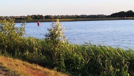 Wellenförmige-Lagune-In-Der-Abendnatur