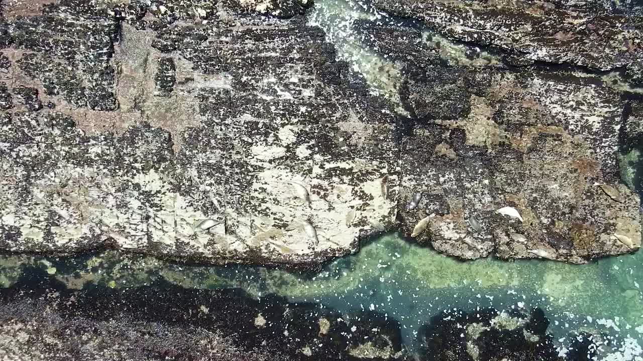 드론 비디오는 보데가 만, 구알라 해안에서 안개의 접촉과 함께 물이 흐르는 바위의 배경을 포착합니다.