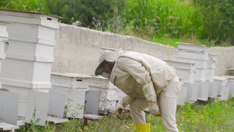 Beekeeper-working-on-beehives.