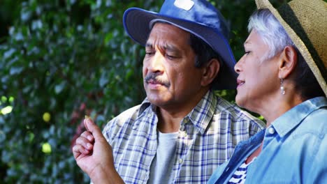 senior couple holding a seedling