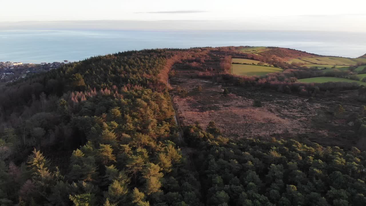 An aerial perspective of Mutters Moor in Devon, showcasing forested regions, fields, and coastal vistas at golden hour.