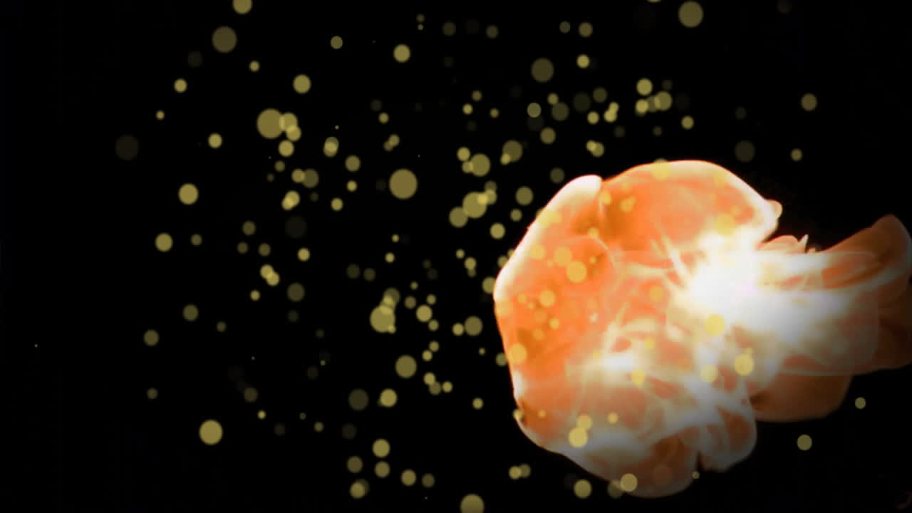 검은 바탕에 불꽃 위에 있는 빛의 반점들의 애니메이션