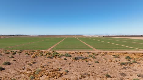 disparo aéreo de un avión no tripulado volando sobre campos plantados agricultura