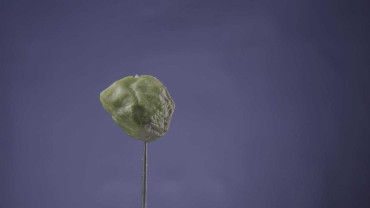 pistacho girando con bucle en la pantalla azul para la llave de croma