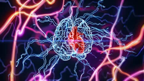 brain and heart with electrical activity