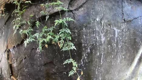 slow motion - indoor waterfall flowing over a small rock cliff