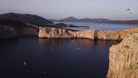 flying by a cliff with a flock of seagulls in the evening