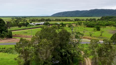 drone footage glides above a winding dirt road through lush farmland, sugarcane fields, and scattered trees under overcast daylight in port douglas, australia