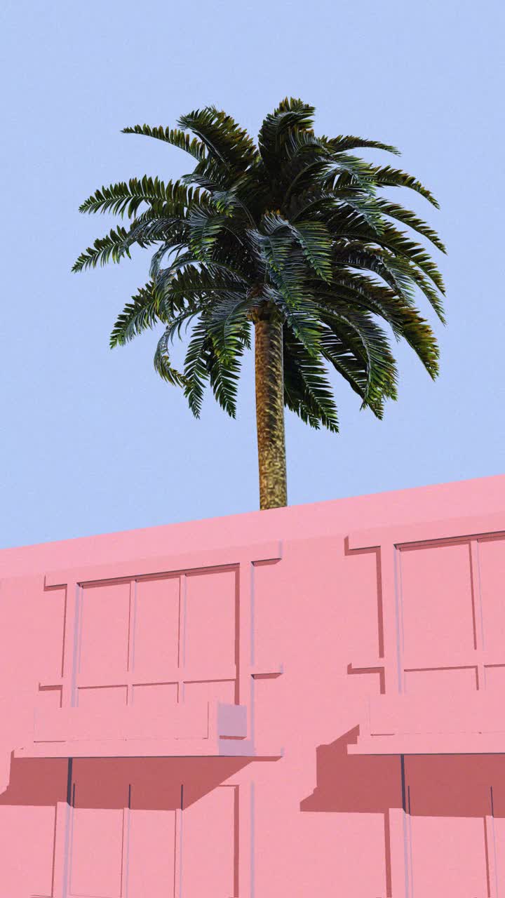 Palmeira balançando acima de uma parede arquitetônica rosa contra um céu azul