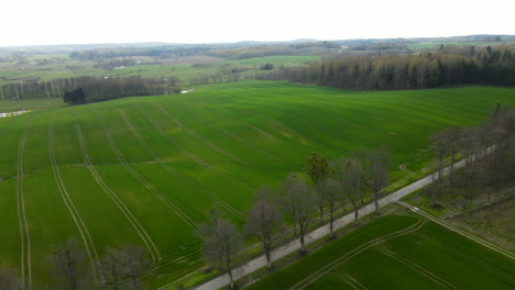 Beautiful-lush-Green-agriculture-fields-of-Pieskowo-Poland