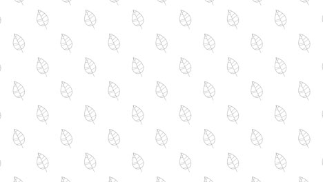 árbol de álamos deja iconos de líneas delgadas negras en un fondo blanco. patrón gráfico de movimiento de bucle sin costuras con hojas animadas en cuadrícula geométrica