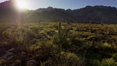 Imágenes-De-Drones-Explorando-El-Desierto-De-Sonora-Desde-Arriba