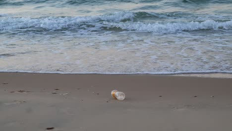 plastic pollution crisis: single-use plastic