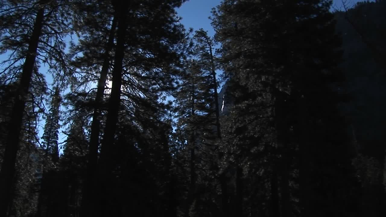 La telecamera effettua una panoramica a sinistra attraverso una foresta, oltre montagne aspre, una cascata e la fine della catena montuosa
