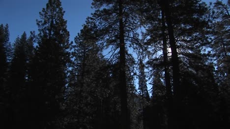 The-Camera-Pans-Left-Through-A-Forest-Past-Rugged-Mountains-A-Waterfall-And-The-End-Of-The-Mountain-Range