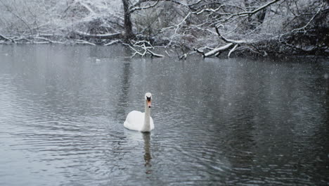 Der-Fluss-Wird-Zu-Einem-Winterparadies-Für-Vögel,-Während-Schneeflocken-In-Zeitlupe-Herabstürzen