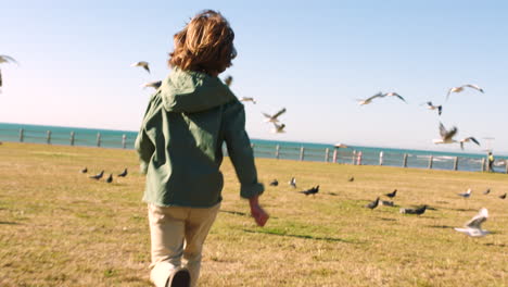 Libertad,-Océano-Y-Niño-Corriendo-Con-Pájaros-De