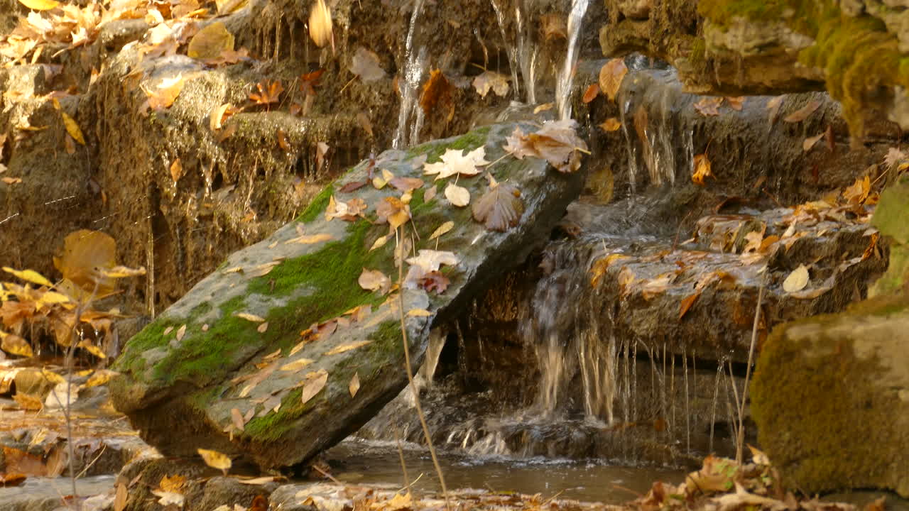 hermosa escena otoñal con agua que fluye sobre hojas caídas en la bandeja de cerca a la izquierda