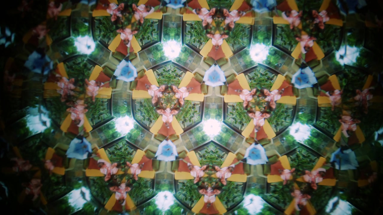 Immagine astratta a caleidoscopio formata da texture organiche specchiate che ricordano conchiglie o elementi botanici essiccati, creando motivi geometrici simmetrici.