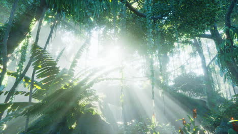 misty-rainforest-and-bright-sun-beams-through-trees-branches