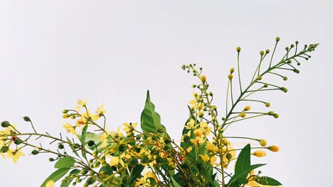 yellow flowers bouquet close-up