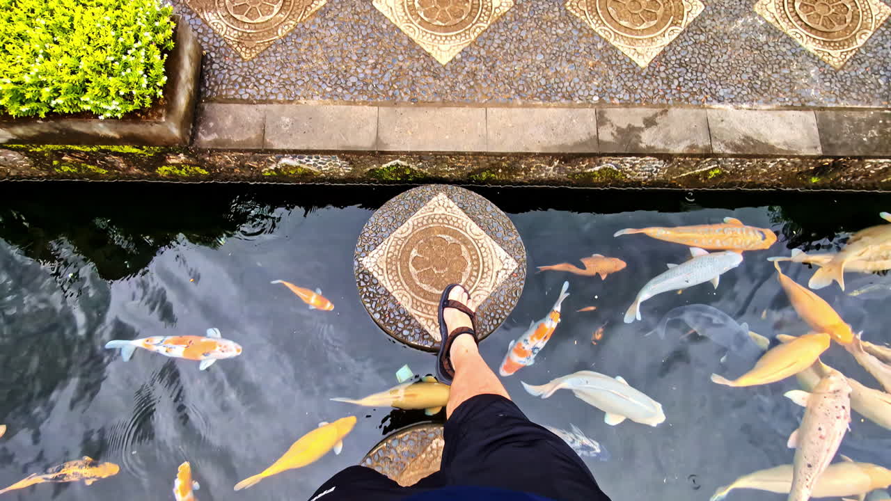 A first-person view looking down at feet in sandals, carefully walking on the famous stepping stones across a pond filled with colorful koi carp at Tirta Gangga water palace in Bali