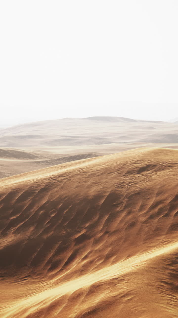 광활한 사막 모래 언덕 풍경