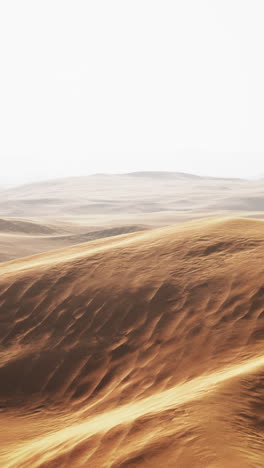 vast desert sand dunes landscape