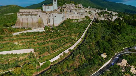 orchard trees on the mountain at assisi town in the province of perugia, italy