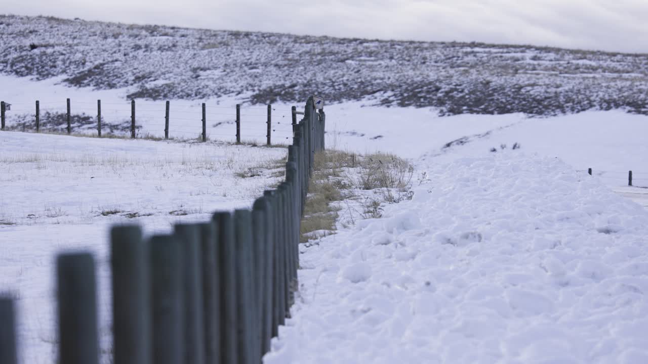 목장, 겨울 조건, 울타리 라인, 4k에 나무 울타리 게시물