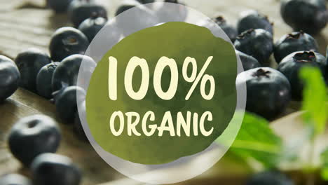 animation of 100 percent organic text over blueberries