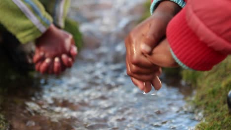 cerca de las manos de los niños en el arroyo