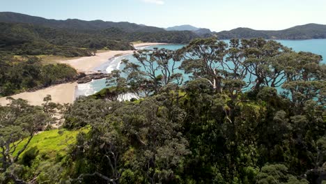 drone reveal golden sand beaches and bays in tropical northland coastal landscape of new zealand