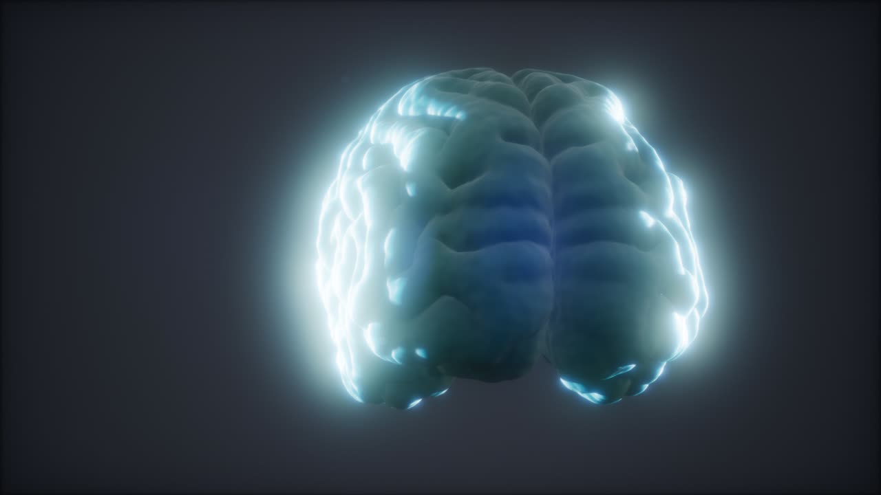 animación del cerebro humano en bucle giratorio