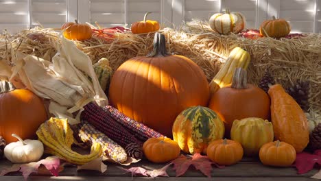 dolly out shot of colorful pumpkins and gourds next to hay bales on wooden table outdoors with