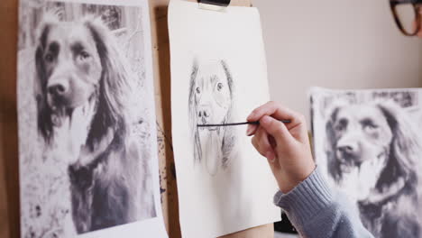 Close-Up-Of-Artist-Sitting-At-Easel-Drawing-Picture-Of-Dog-In-Charcoal-From-Photograph