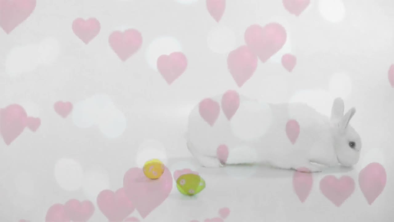 부활절 토끼와 달